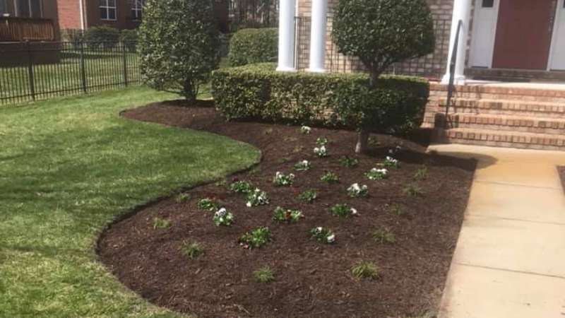 Popular Softscape Landscaping Ideas Andrews Lawn Service, LLC