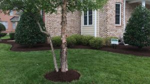 yard cleanup Andrews Lawn Service, LLC