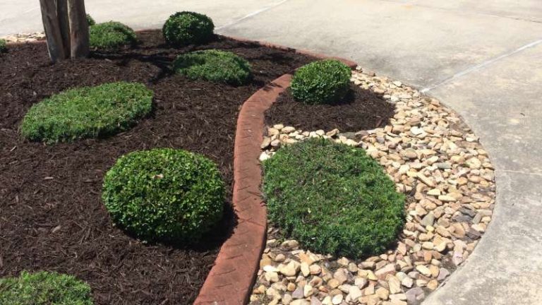 Drought Tolerant Landscaping Or Xeriscaping