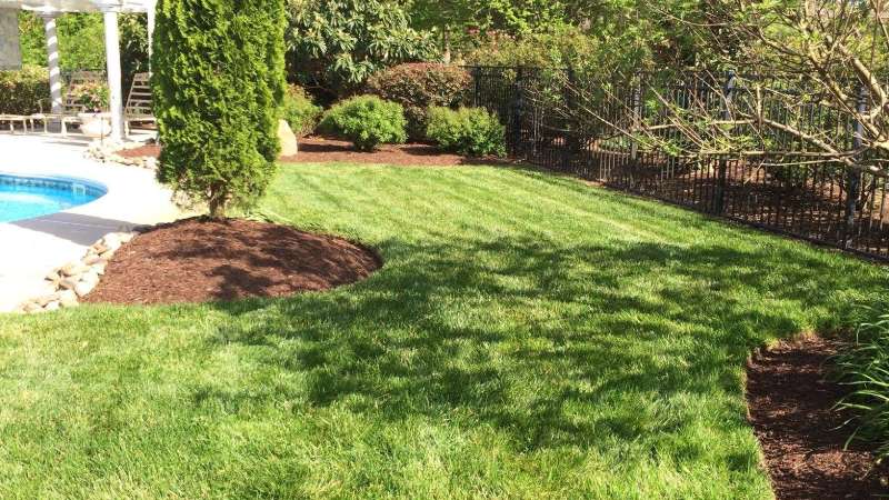 landscaping for your backyard Andrews Lawn Service, LLC