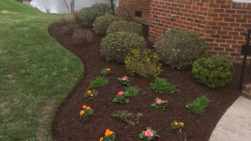 plants for zone Andrews Lawn Service, LLC