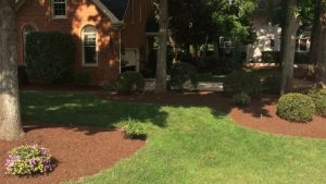 Andrews Lawn Service, LLC