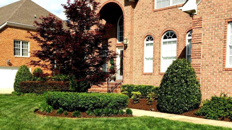 landscape maintenance Andrews Lawn Service, LLC