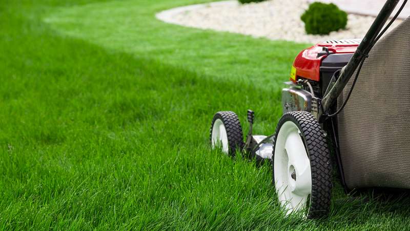 lawn mowing Andrews Lawn Service, LLC