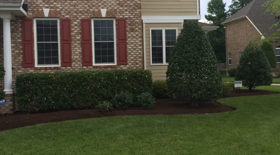 hedge-trimming Hedge Trimming and Pruning