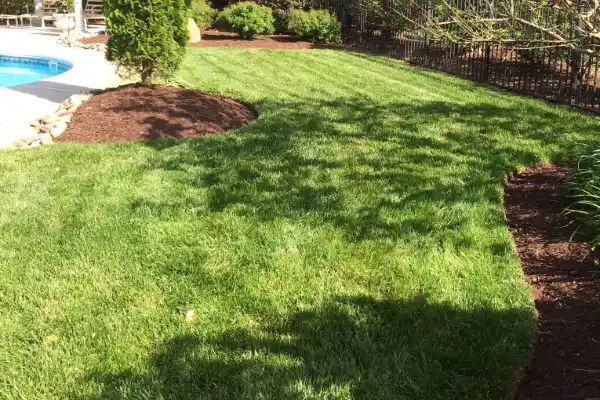 Lawn Care