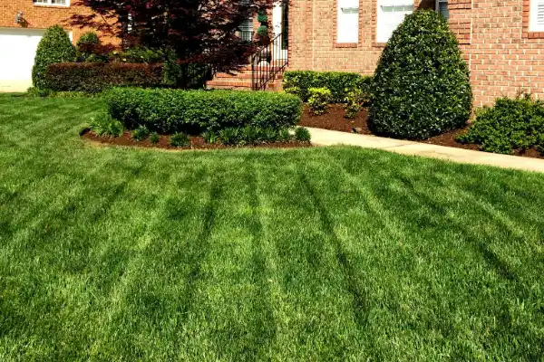 Lawn Mowing Services