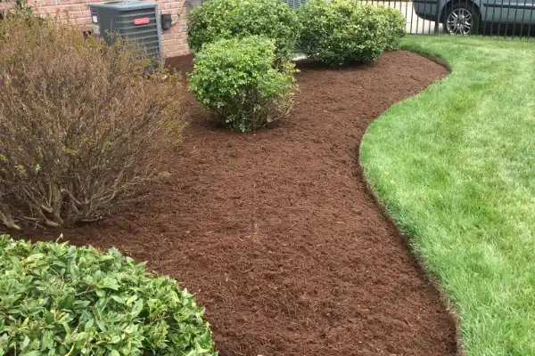 Mulch Installation