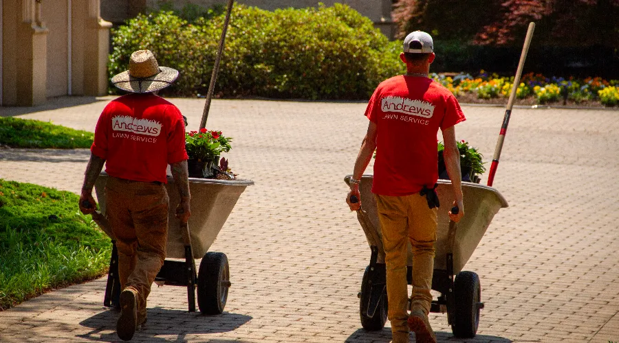landscaping-services Landscaping Services
