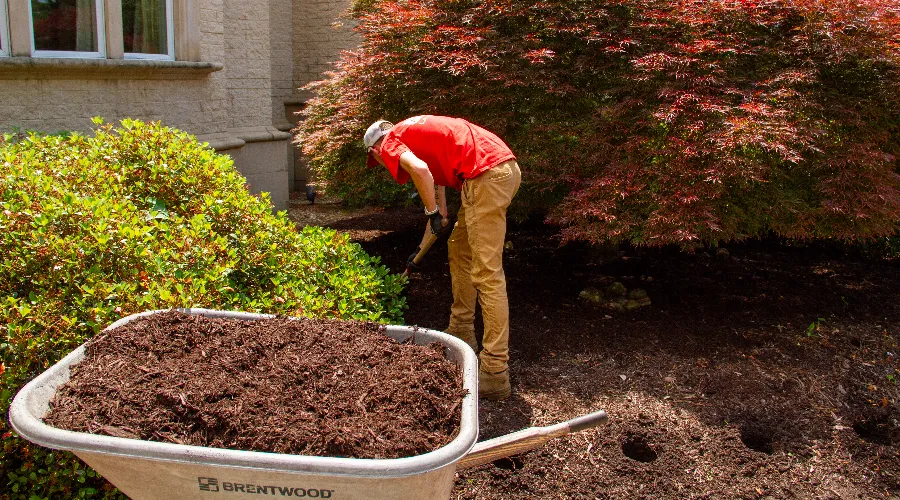 mulch-installation-service Mulch Installation Services